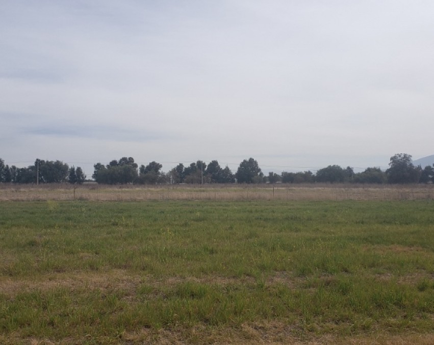 Extraordinario terreno