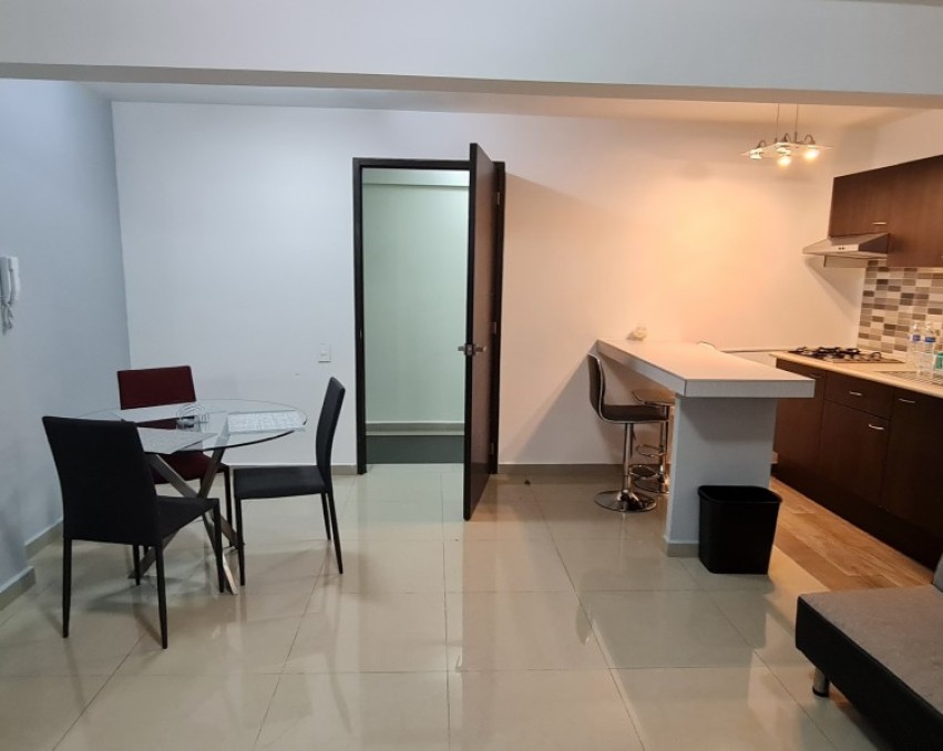 Depto en renta amueblado Palo Solo con roof garden