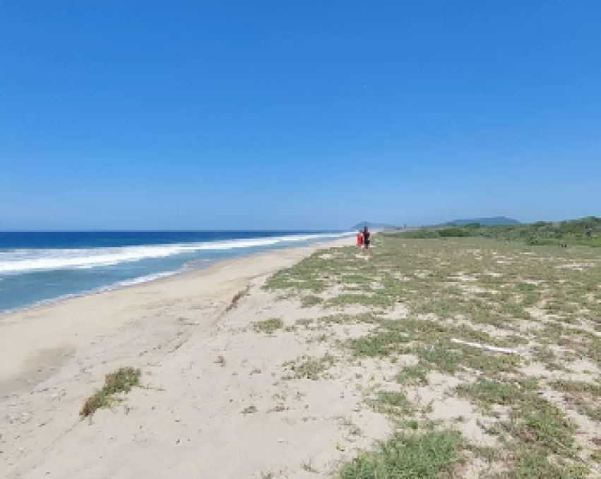 Terrenos frente al Mar